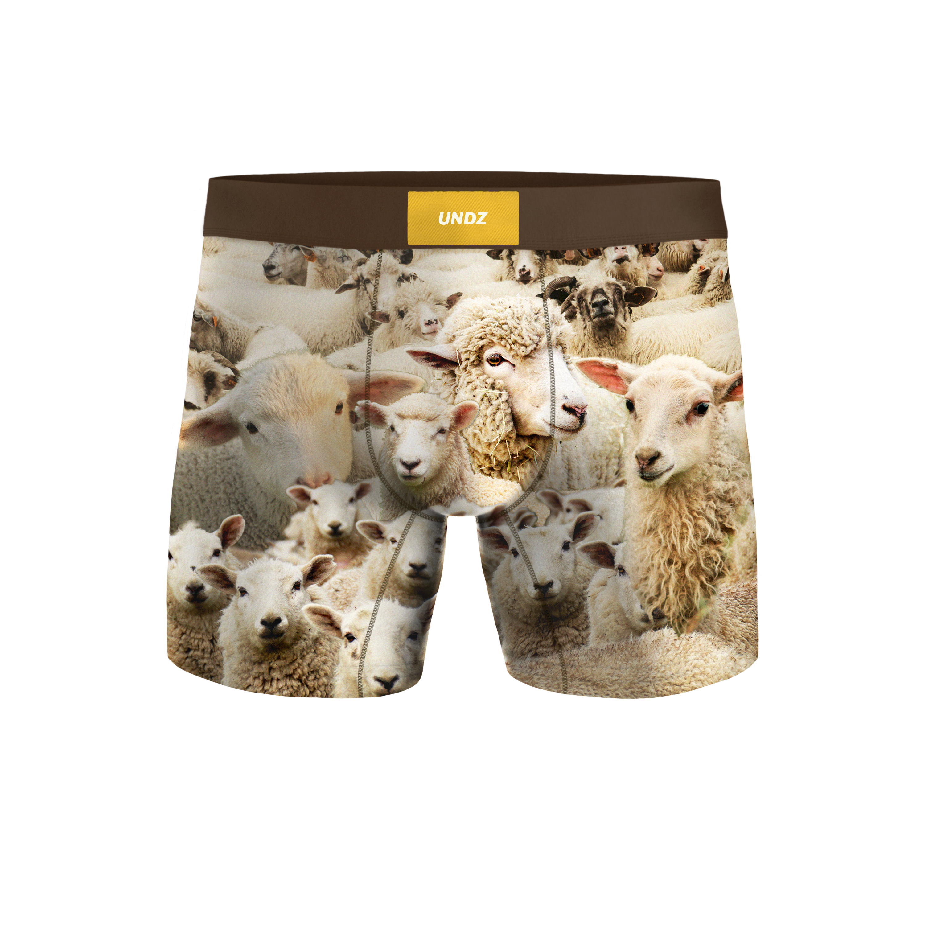 MEN CLASSIC - BIN DES MOUTONS