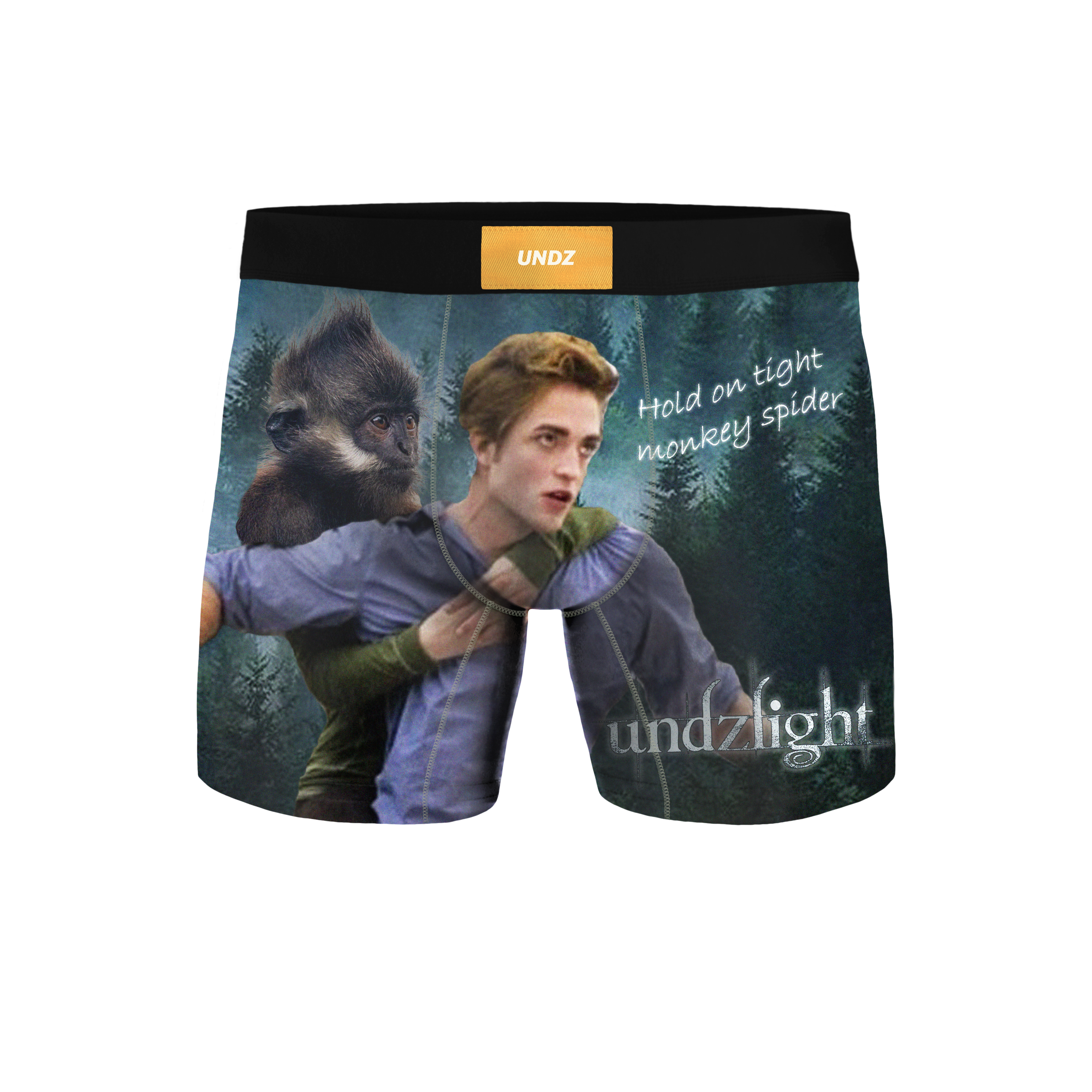 CLASSIQUE HOMME - SINGE ARAIGNÉE