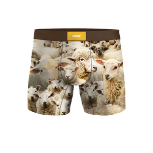 MEN CLASSIC - BIN DES MOUTONS
