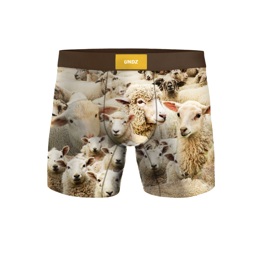 MEN CLASSIC - BIN DES MOUTONS