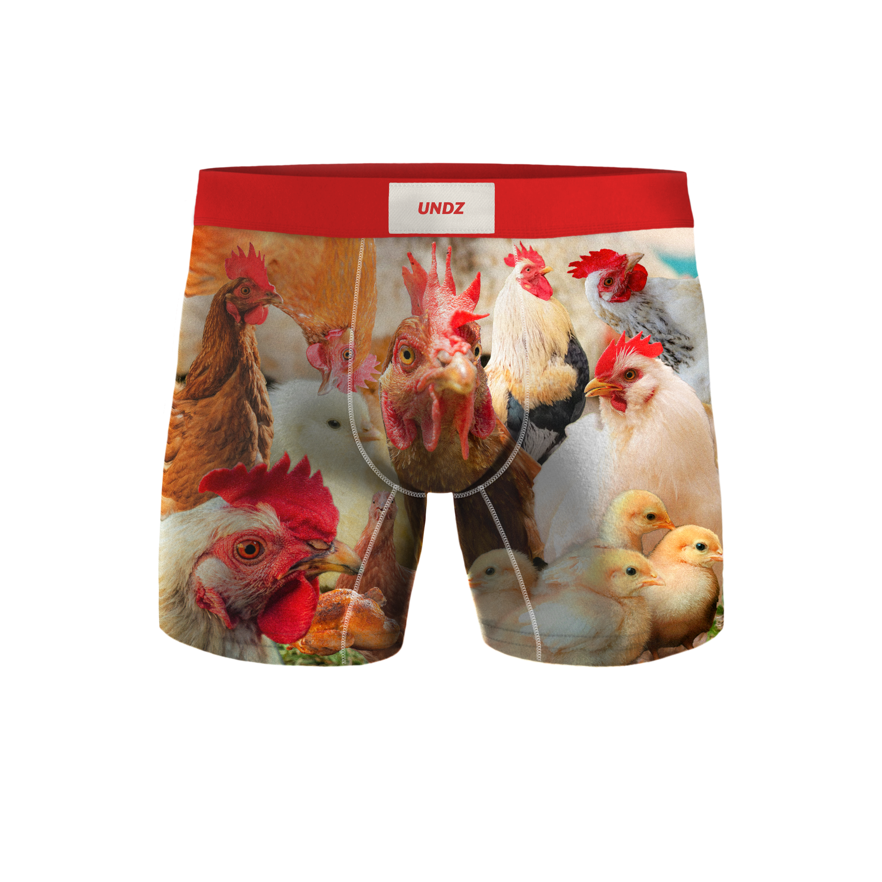 CLASSIQUE HOMME - BIN DES POULES