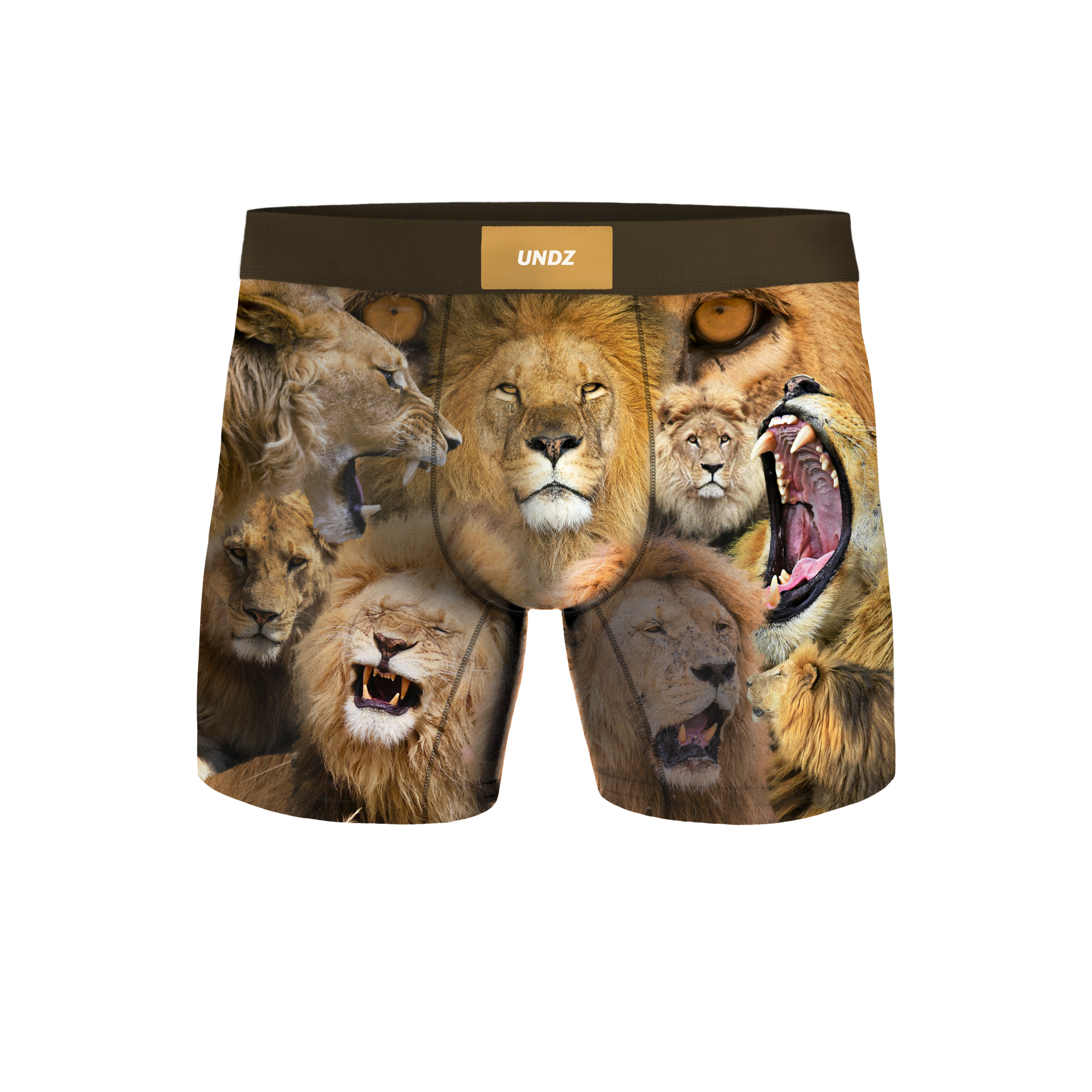 KIDS - LIONS
