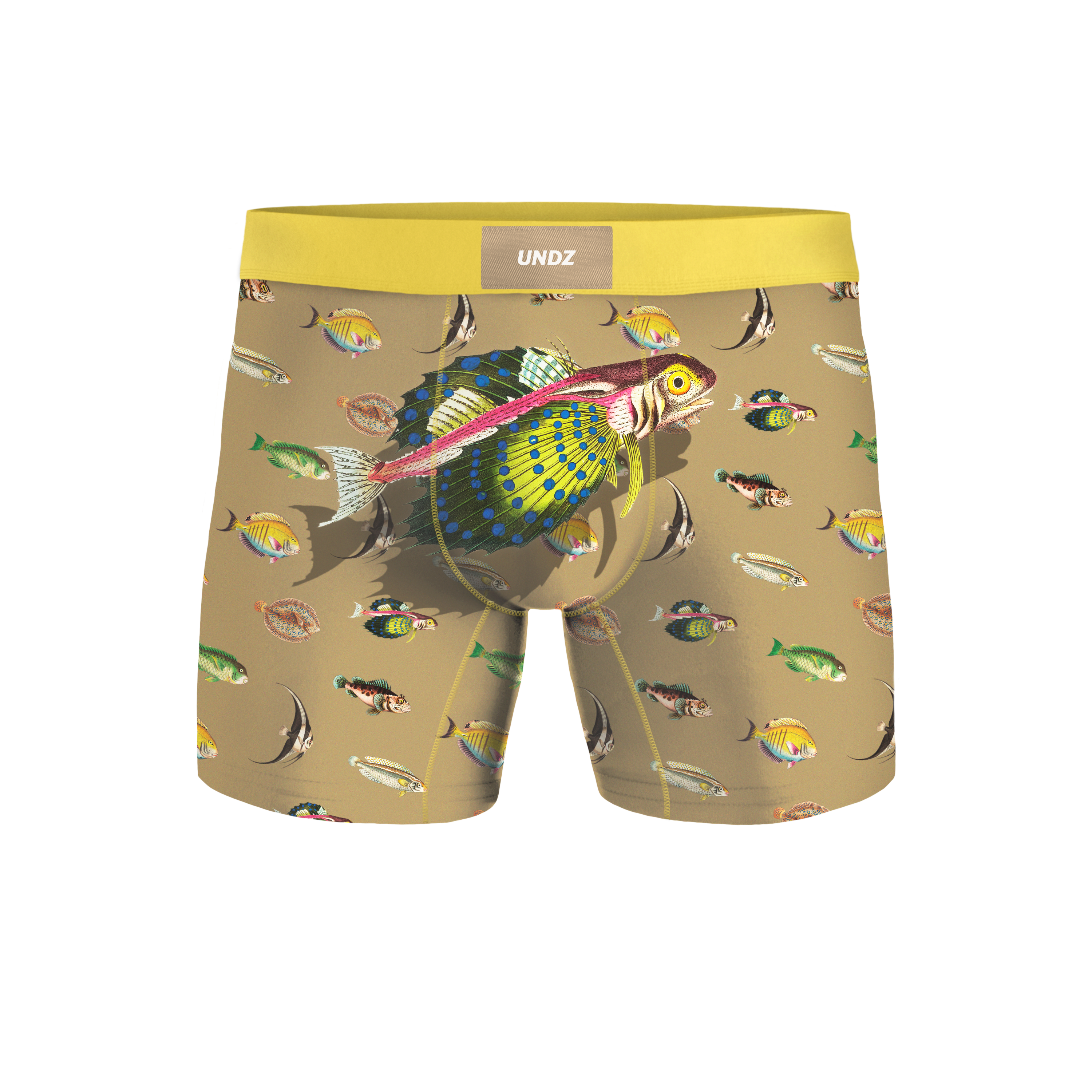 CLASSIQUE HOMME - POISSONS