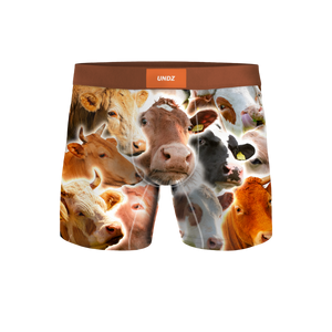 MEN CLASSIC - VACHES