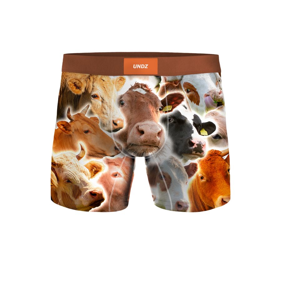 MEN CLASSIC - VACHES