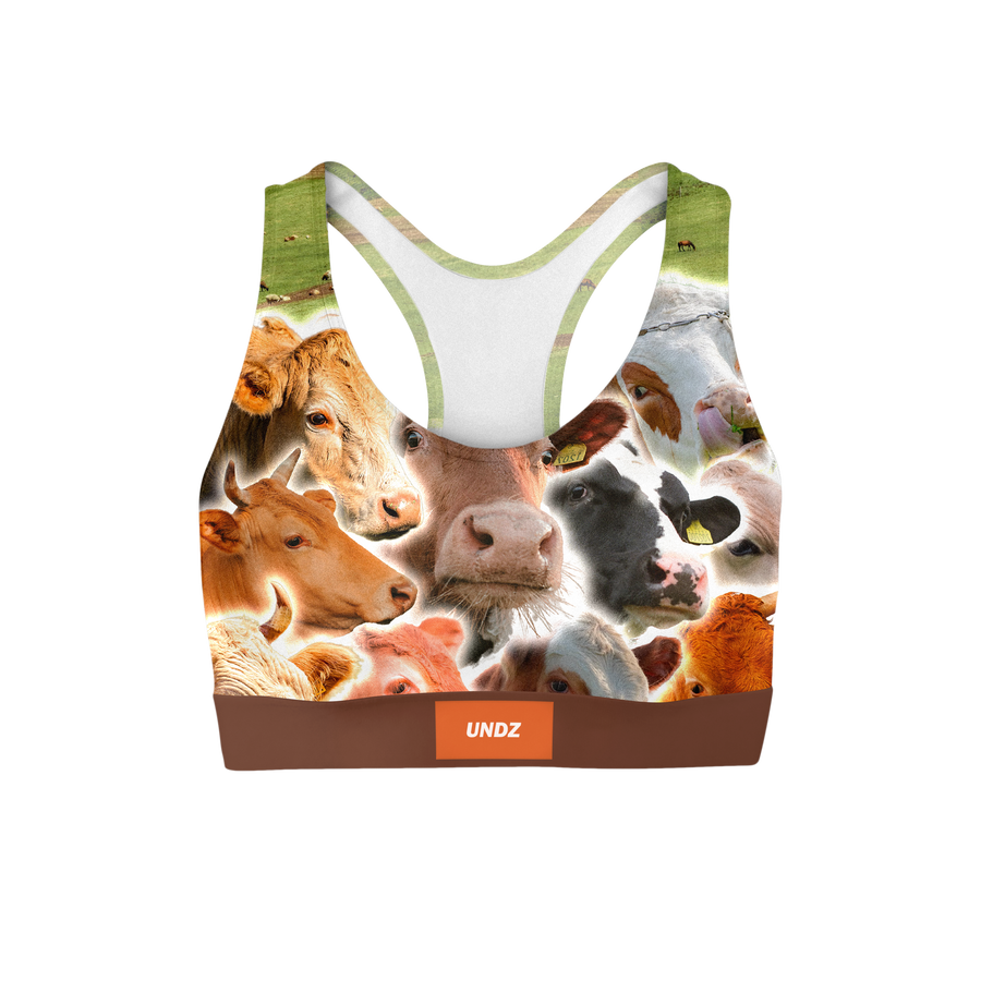BRA - VACHES